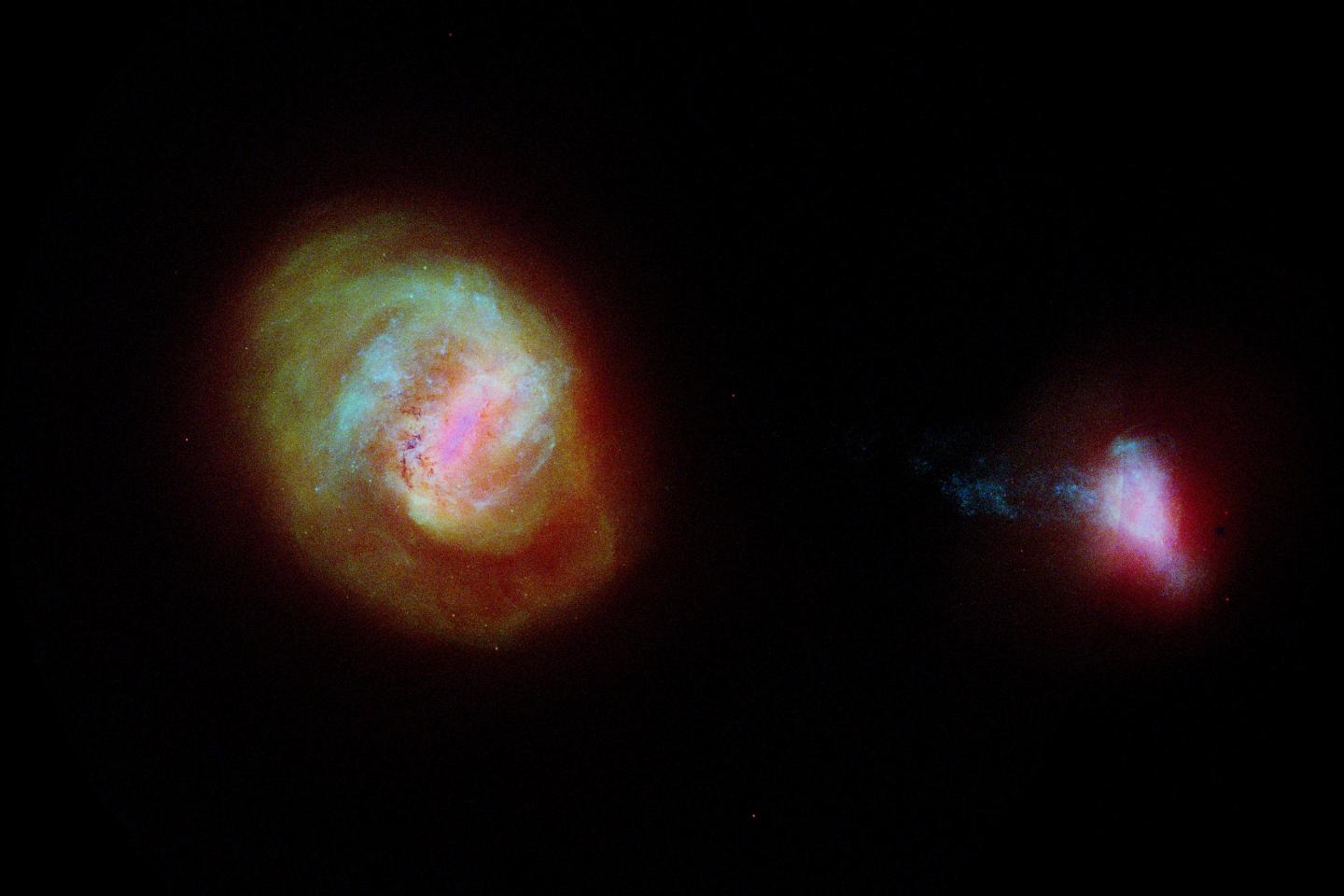 Large and Small Magellanic Clouds