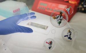 Tiny chip speeds up antibody mapping for faster vaccine design