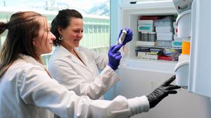 USU Ecologists Develop AI-Based Mosquito Species ID Method