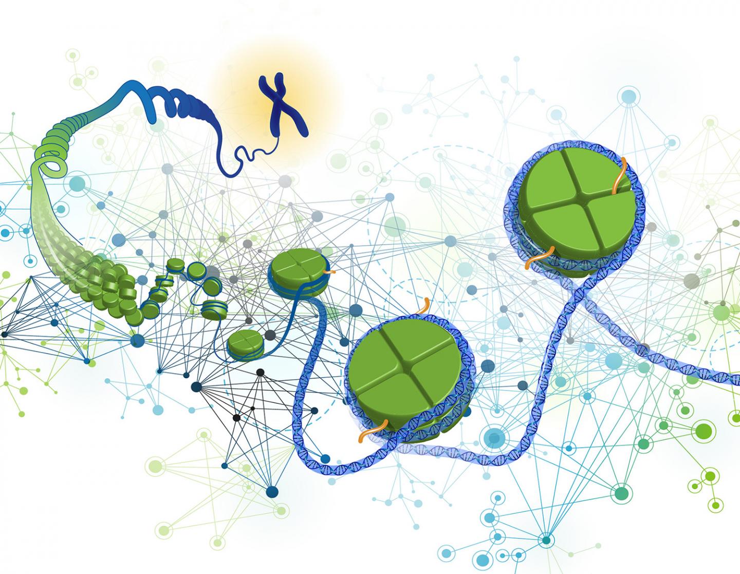 GGR Graphic