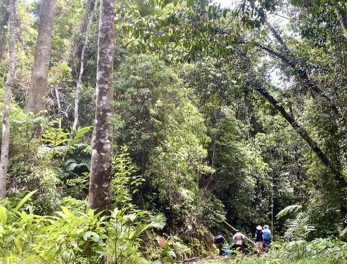 Time in nature