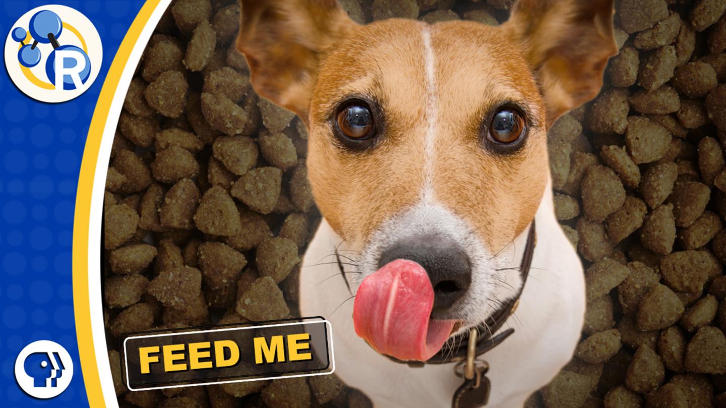 The Chemistry behind Kibble