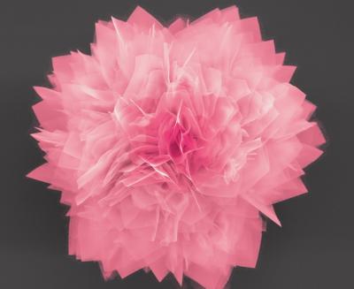 Germanium Sulfide Nanoflower