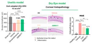 These findings validate Target Y’s potential as a key therapeutic target addressing a broad range of inflammatory and degenerative ocular diseases.