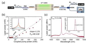 schematic of the laser setup integrating the EDWA chip with a fiber Bragg grating