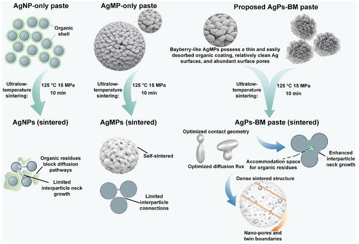 Micro-nano cooperative diffusion in bayberry-like porous Ag microparticle pastes enabling 125 °C ultralow-temperature sintering.