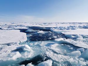 Arctic Ocean sea ice