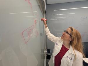 Study author Dr. Stephanie Eisenbarth conducting allergy research
