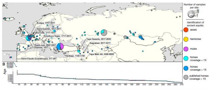 Map of Archaeological Sites Where Horse Remains Were Found