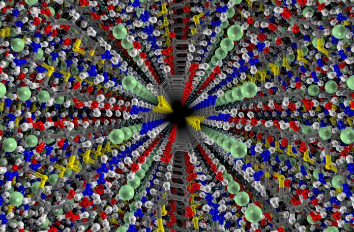 Crystal Structure of the Hydrated Chloride Salt