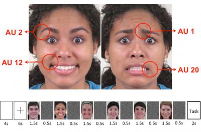 Facial Expressions