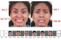 Facial Expressions