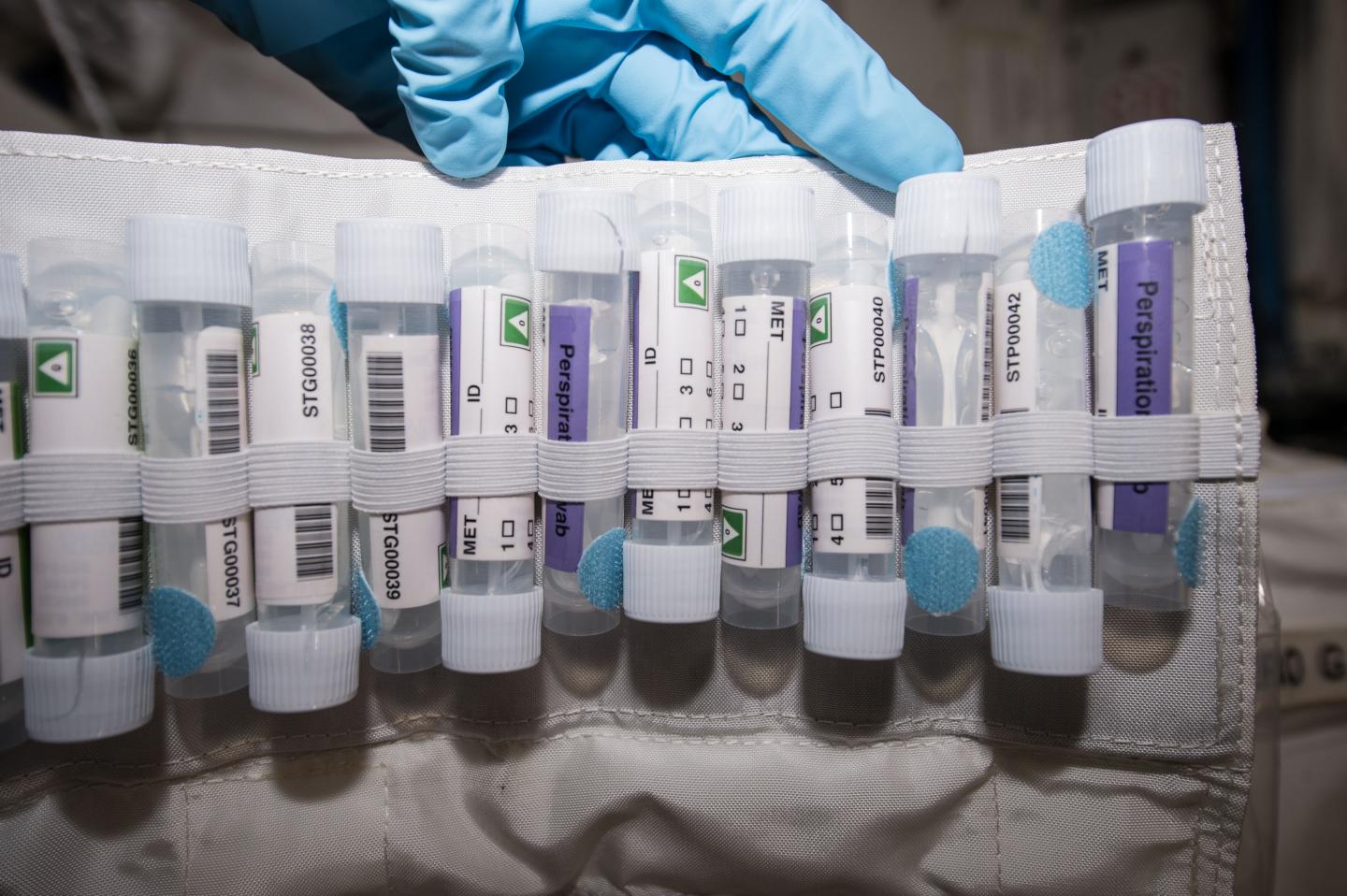 Microbiome Swab Kit