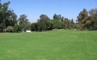 Research in Los Angeles Shows Water Loss in City's Wealthy Neighborhoods Double that of Poorer Areas