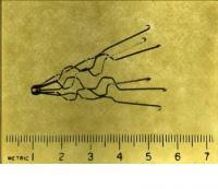 Vena Cava Filter
