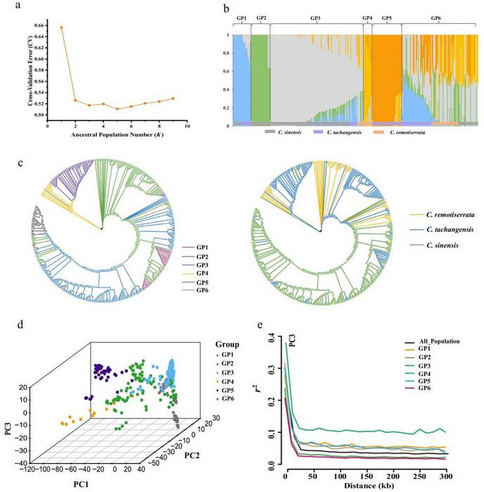 Population structure, PCA, and NJ tree of the 329 tea accessions.