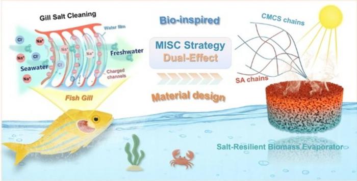 A marine fish-inspired material for solar desalination