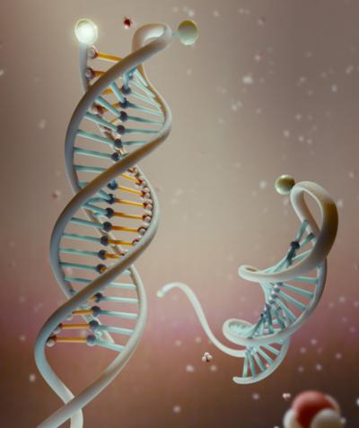 Researchers Use DNA to Build Tool