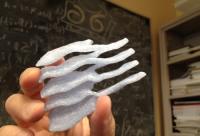 3-D Model