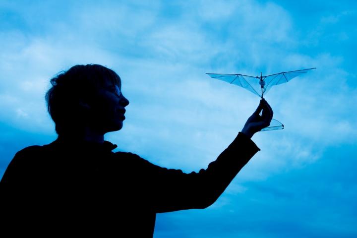 Biomimetic Wing