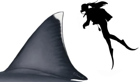 Comparison