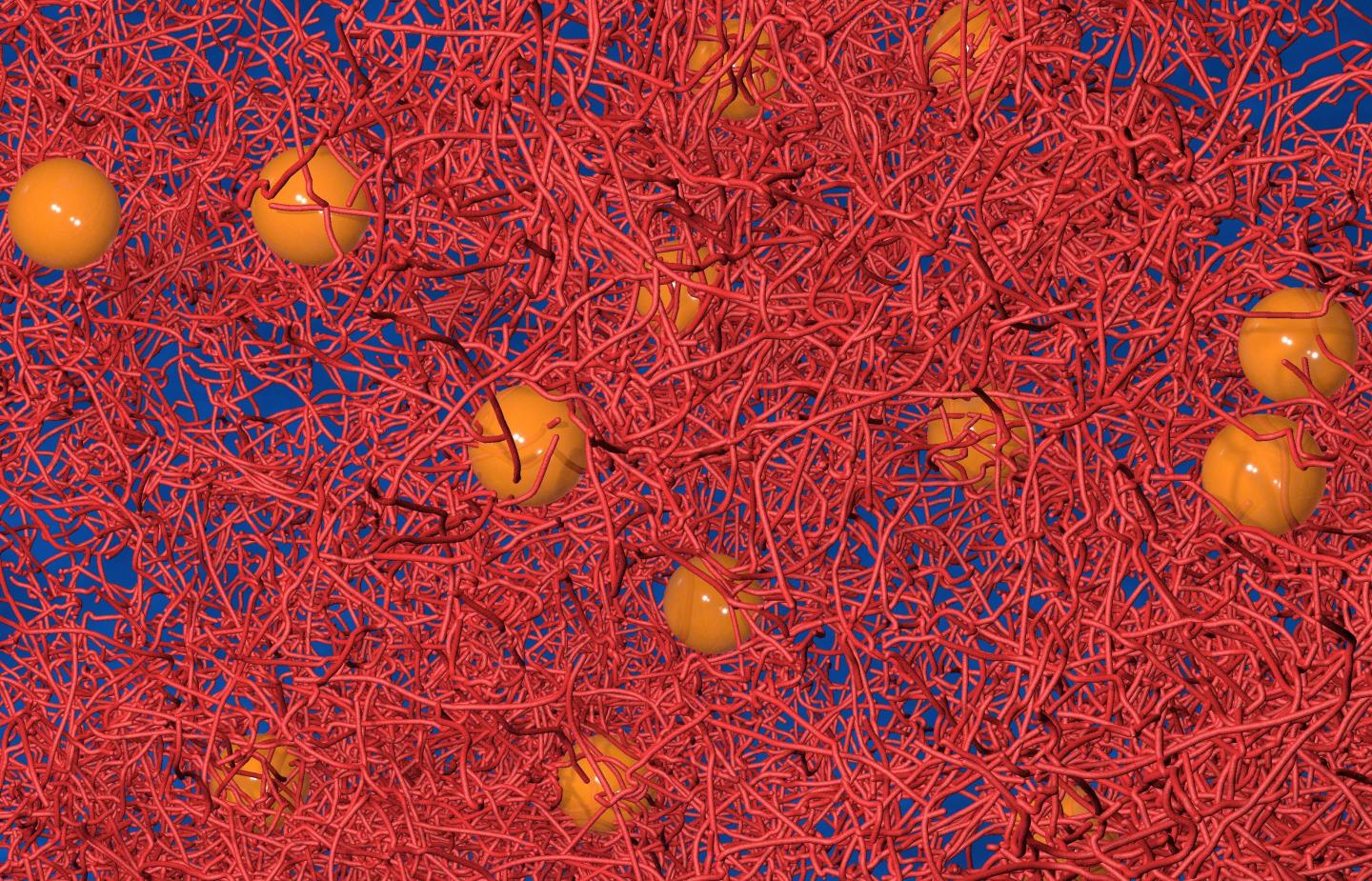 image of filaments and microscopic beads