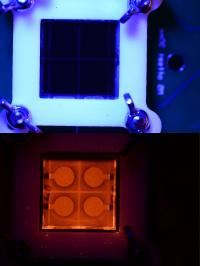 Perovskite Solar Cells Bathed in Blue Light