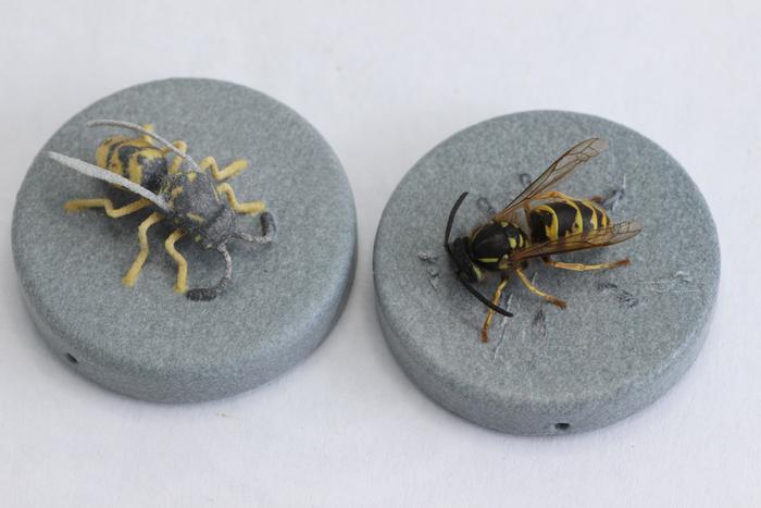 A wasp next to its 3D printed equivalent.