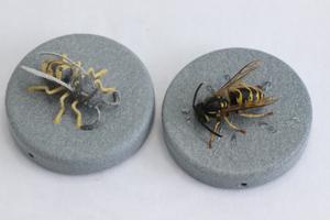 A wasp next to its 3D printed equivalent.