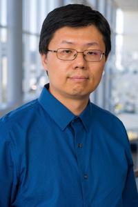 Lin Xu is a researcher at UT Southwestern Medical School