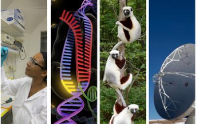 NSF Empowers Discoveries