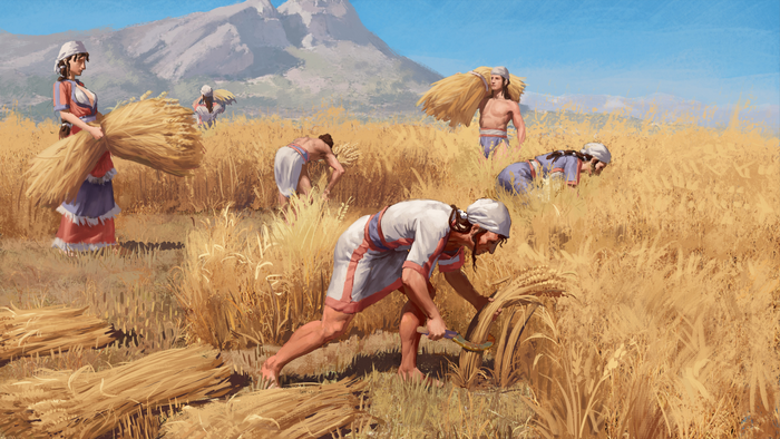 Harvesting grain