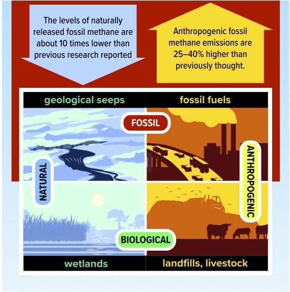 The Methane Budget According to Carbon-14