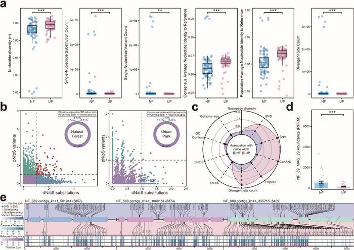 Comparative microbial genomic variation between natural forest and urban park environments