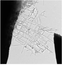 Nanonet and STM