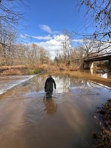 Kathleen Cutting-Brush Creek