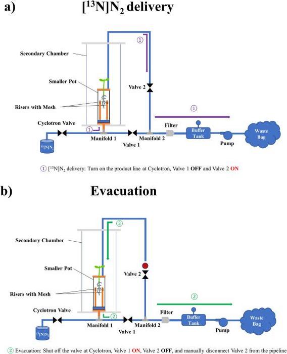 Figure 3. Schematic diagram of [13N]N2 flow path within the plant root delivery system (IMP2RIS) during the [13N]N2 delivery (violate arrowed lines) and evacuation (green arrowed lines) operational modes.