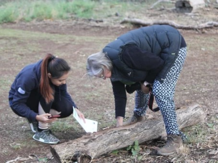 Citizen science