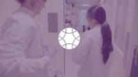 Introducing the Allen Cell Collection