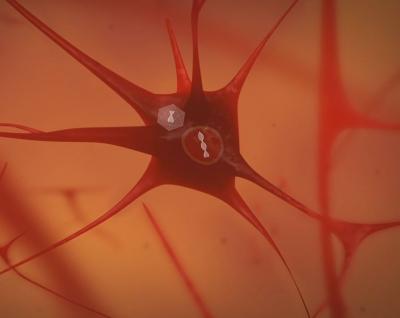 A Vector Being Introduced