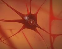 A Vector Being Introduced