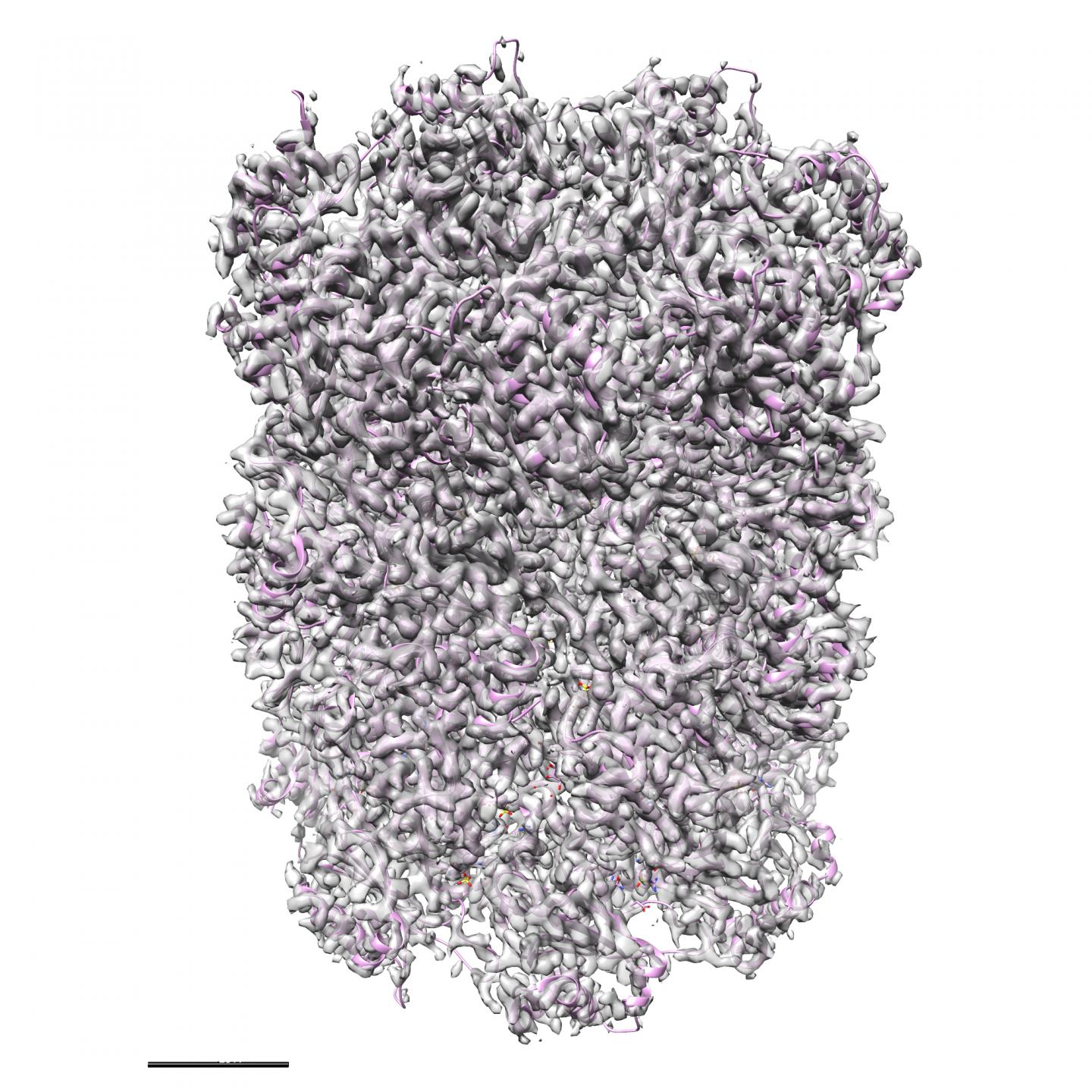 New Algorithms May Revolutionize Drug Discoveries (1 of 2)