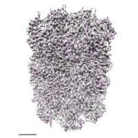 New Algorithms May Revolutionize Drug Discoveries (1 of 2)