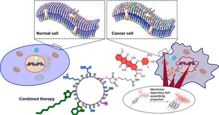peptidic nanotubes