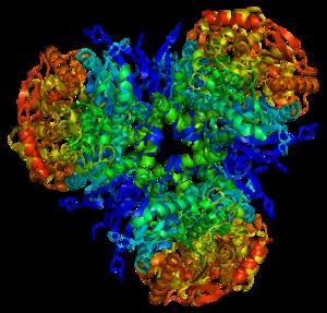 Protein CES1
