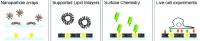 Golden Membranes