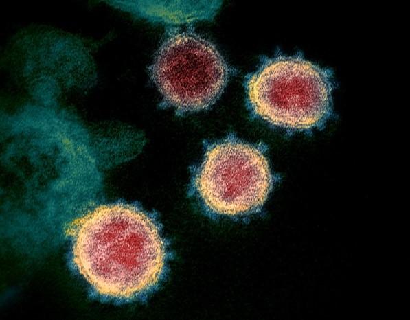 Antibody Responses in COVID-19 Patients Could Guide Vaccine Design