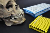 Skulls in Lab