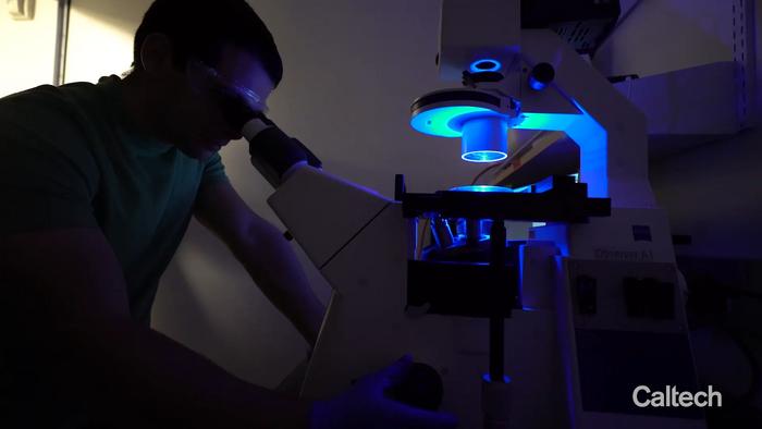 New DAbI Method Means Fast Autofocus for Microscopes