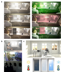 Light protection strategies in different scenarios.